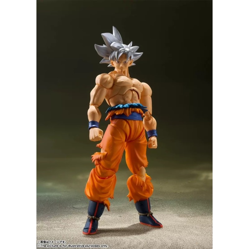 Bandai Tamashii Nations S.H.Fi - Bandai Tamashii Nations S.H.Figuarts บทวิจารณ์และราคา